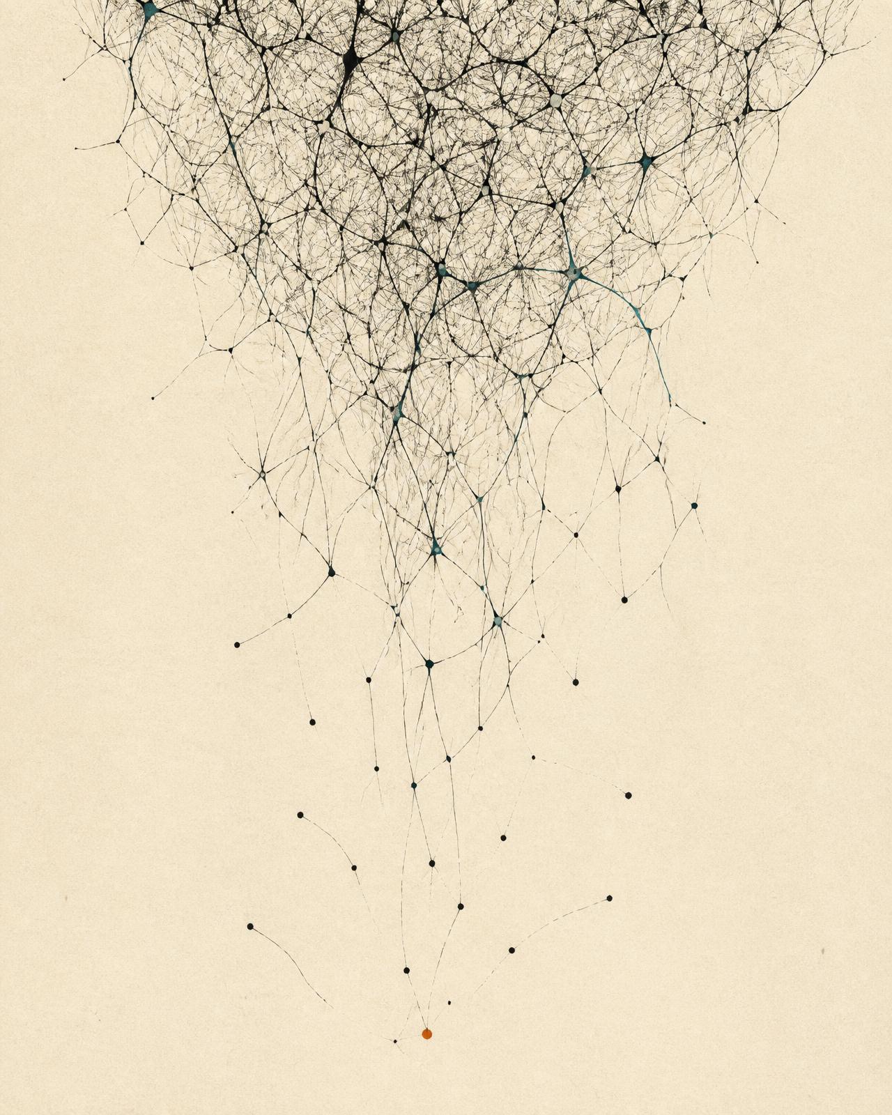 Abstract plate: sparse points resolving into a dense connected network.
